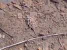 photo of comment