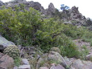 photo thumbnail #6