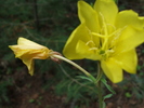 photo of comment