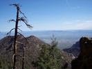 photo thumbnail #3