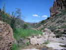 photo thumbnail #2