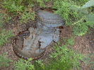 photo thumbnail #1