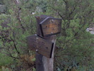 photo thumbnail #6