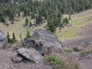 photo thumbnail #5