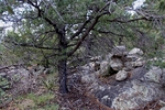 photo thumbnail #10