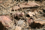 photo thumbnail #13