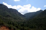 photo thumbnail #10