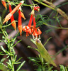 photo thumbnail #14
