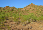 photo thumbnail #1