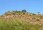 photo thumbnail #2