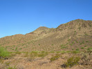 photo thumbnail #3