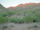 photo thumbnail #6
