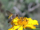photo thumbnail #14