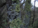 photo thumbnail #15