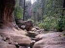 photo thumbnail #2