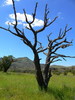 photo thumbnail #15
