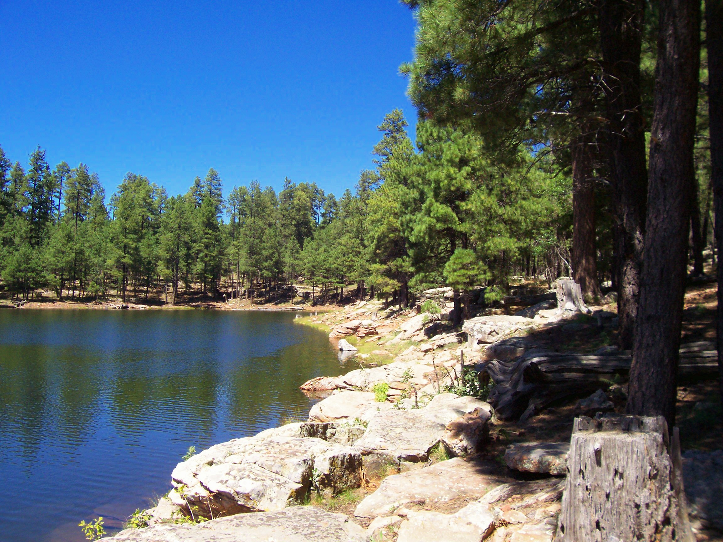 Woods Canyon Lake Trail Mogollon Rim, AZ HikeArizona