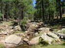photo thumbnail #10