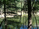 photo thumbnail #13