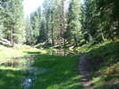 photo thumbnail #14