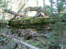 photo thumbnail #15