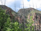 photo thumbnail #2