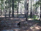 photo thumbnail #4
