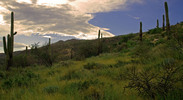 photo thumbnail #1