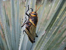 photo thumbnail #5
