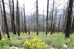 photo thumbnail #10