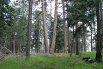 photo thumbnail #11