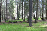 photo thumbnail #12