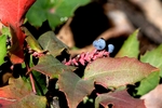 photo thumbnail #2