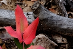 photo thumbnail #5