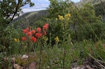 photo thumbnail #10