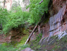 photo thumbnail #5