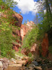 photo thumbnail #7
