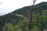 photo thumbnail #2