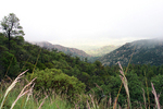 photo thumbnail #15