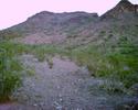 photo thumbnail #7