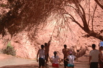 photo thumbnail #6