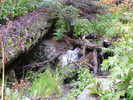 photo thumbnail #11