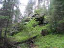 photo thumbnail #12