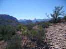 photo thumbnail #3