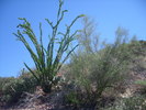 photo thumbnail #5