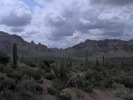 photo thumbnail #5