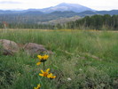 photo thumbnail #3