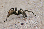 photo thumbnail #15