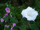 photo thumbnail #11