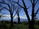 photo thumbnail #13